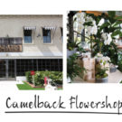 Camelback Flowershop